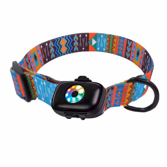 New Arrival Fluorescent Night Light up Adjustable LED Dog Collar